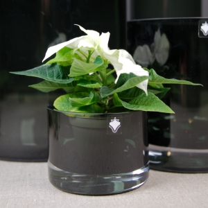 Folieetiketter Folieetiketter